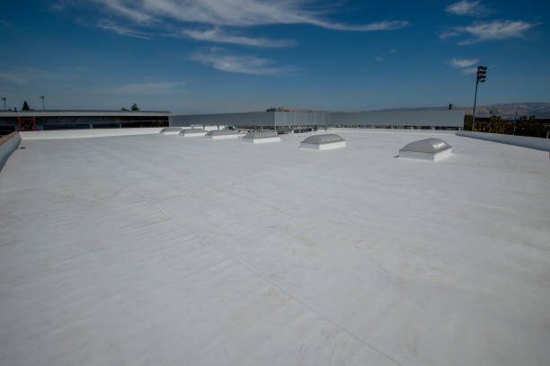 Best Sheet Metal Roofing  in Mojave, CA