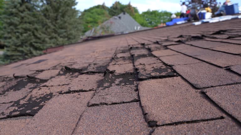 Best Commercial Roofing Services  in Mojave, CA